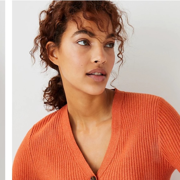 🆕Ann Taylor - Picture 5 of 5